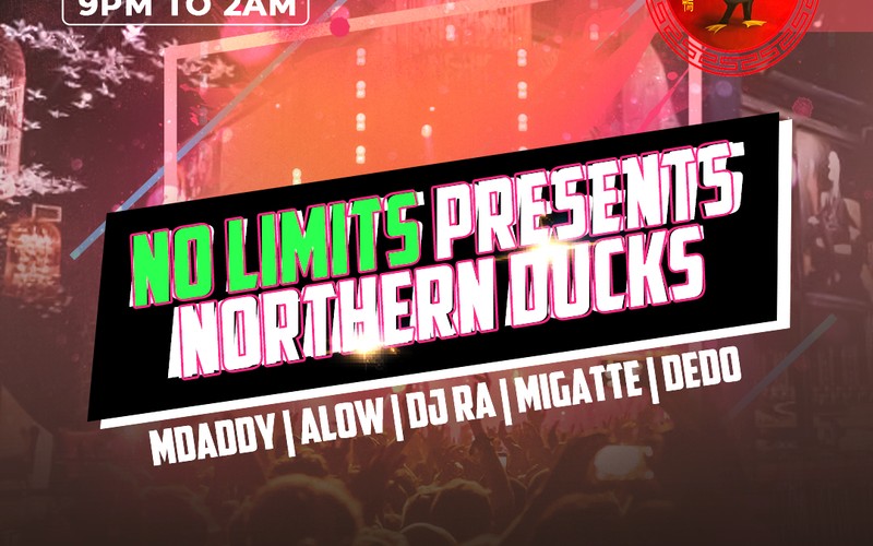Northern Ducks