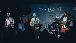 Pagonejo do Calisamba #HB